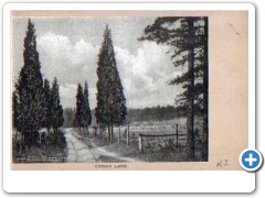 Browns Nills - Cedar Lane - 1906