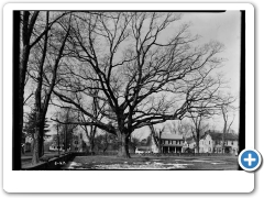 Crosswicks - The old oak - HABS