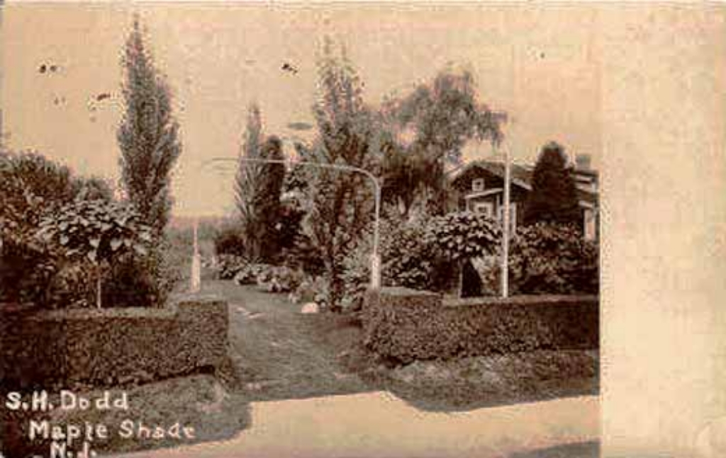 Historic Images Of Burlington County Nj Maple Shade