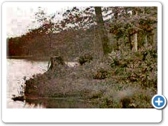 Ockinicon Lake view in Medford Lakes - 1938