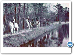 Medford Lakes - Horsies!  I know, not dignified enough.  Horse back riding along the lake.  Better?