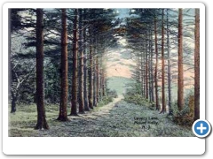 Mount Holly - More Lovers Lane - 1910s