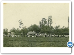 Italian immigrants picking cranberries near Grist Mll Pnd at Indian Mills in 1914