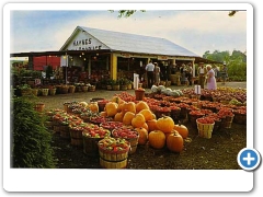 Clinton - Haynes Produce - 1960s
