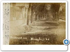 Bloomsbury - Main Street - 1905