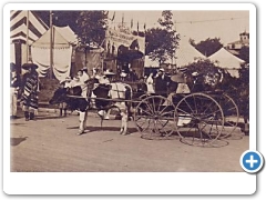 Flemington - Flemington Fair - Ox Drawn Cart - 1907
