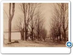 Lebanon - Maple Street - 1909