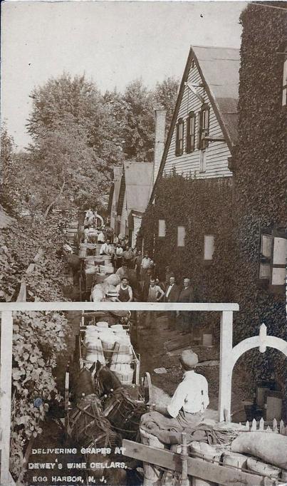 Egg Harbor City - Delivering Grapes at Deweys Wine Cellars - c 1910