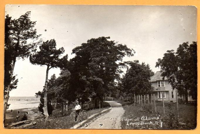 Lower Bank - View at Adams- - c 1910