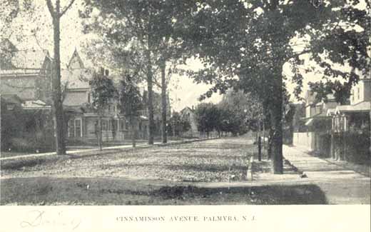 palmyracinnaminsonave07