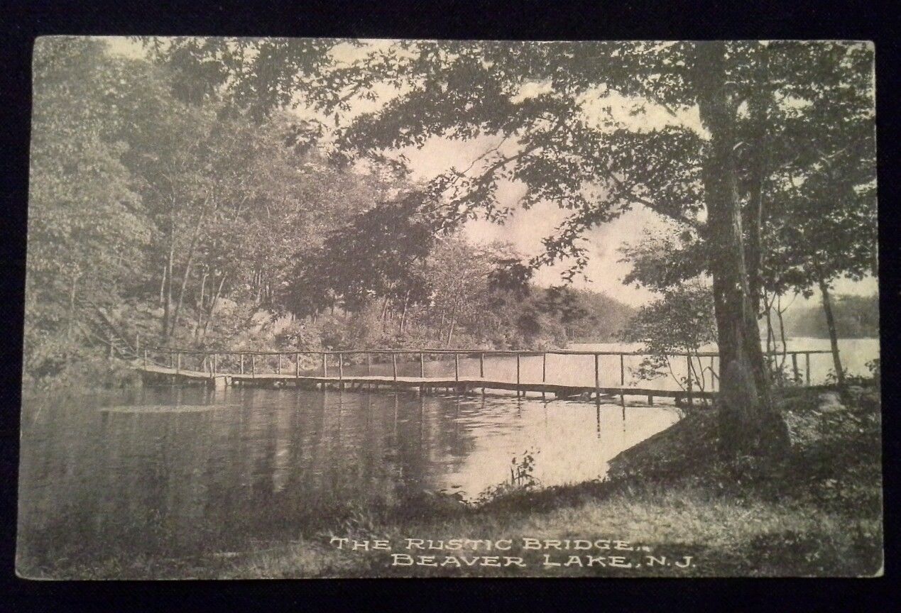 beaver lake - the rustic bridge