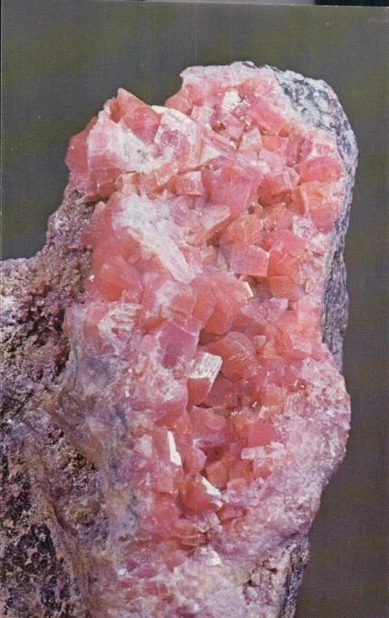 Franklin - Rhodonite crstals in matrix